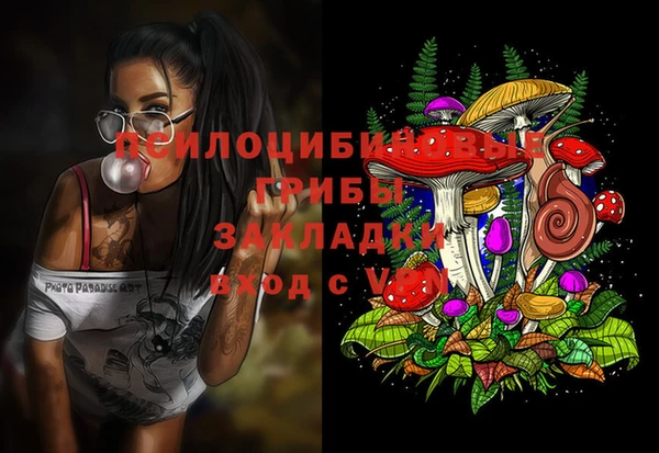 герыч Иннополис