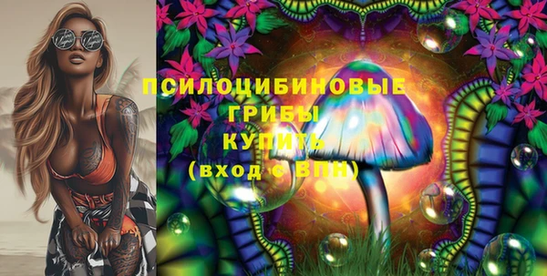 MDMA Инсар