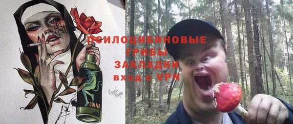 герыч Иннополис