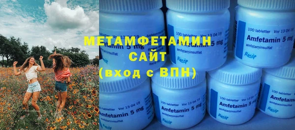 ПСИЛОЦИБИНОВЫЕ ГРИБЫ Инта