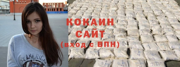 ПСИЛОЦИБИНОВЫЕ ГРИБЫ Инта