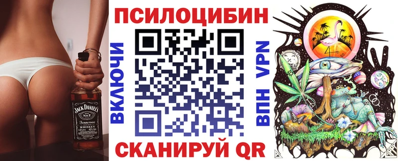 Купить где  Трёхгорный  Галлюциногенные грибы Magic Shrooms 