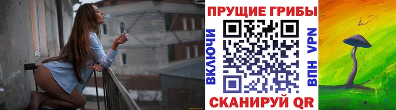 Псилоцибиновые грибы Cubensis Трёхгорный